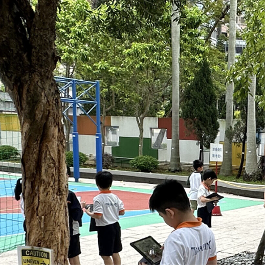 西貢區合作小學案例圖片 1
